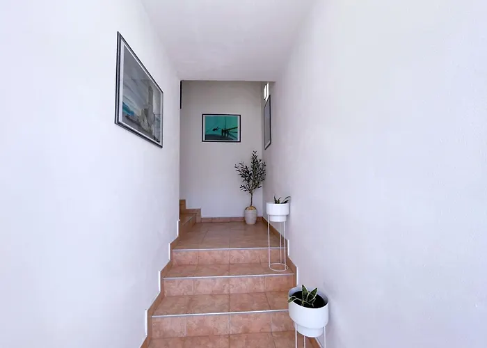 Neptun By Interhome Apartment